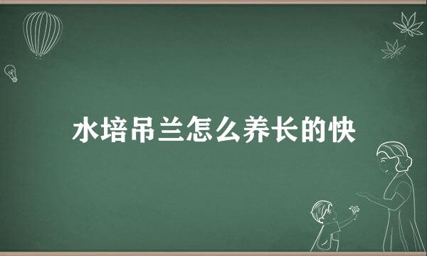 水培吊兰怎么养长的快