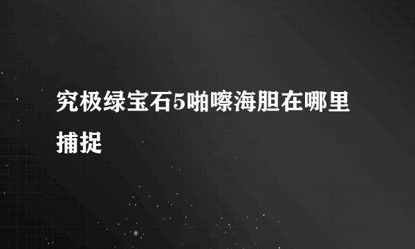 究极绿宝石5啪嚓海胆在哪里捕捉