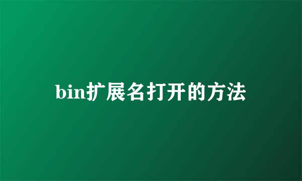 bin扩展名打开的方法