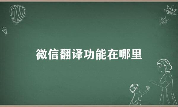 微信翻译功能在哪里