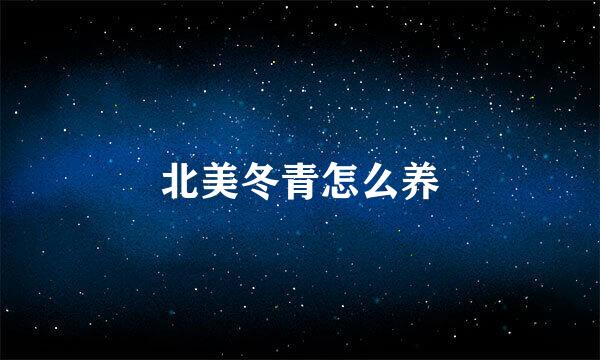 北美冬青怎么养