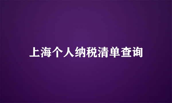 上海个人纳税清单查询