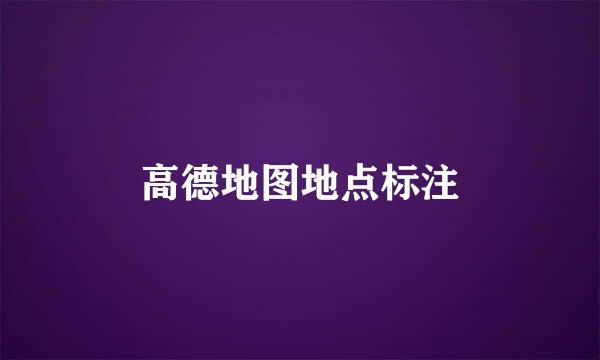 高德地图地点标注