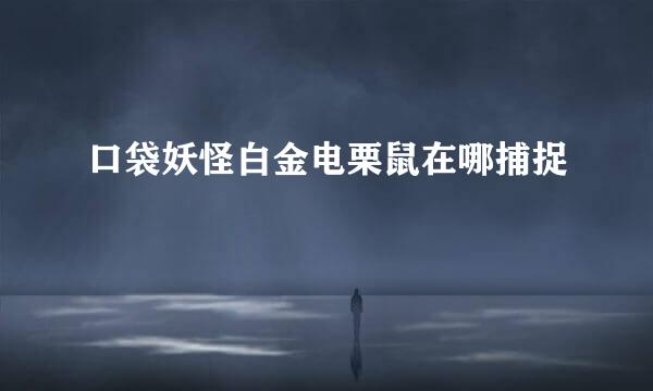 口袋妖怪白金电栗鼠在哪捕捉
