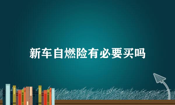新车自燃险有必要买吗