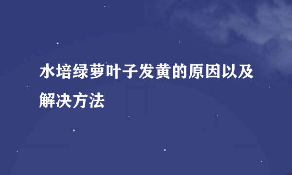 水培绿萝叶子发黄的原因以及解决方法