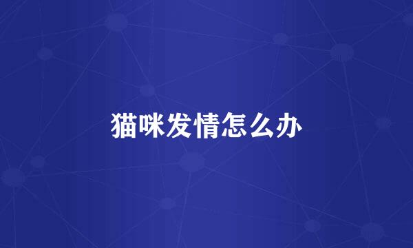 猫咪发情怎么办