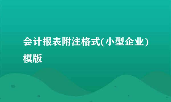 会计报表附注格式(小型企业)模版