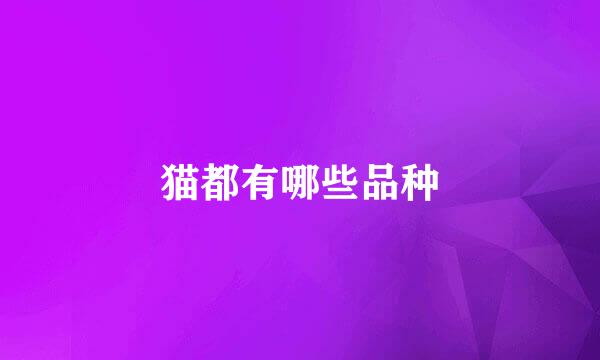 猫都有哪些品种