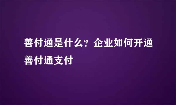 善付通是什么？企业如何开通善付通支付