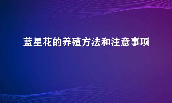 蓝星花的养殖方法和注意事项