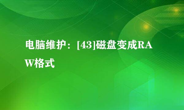 电脑维护：[43]磁盘变成RAW格式