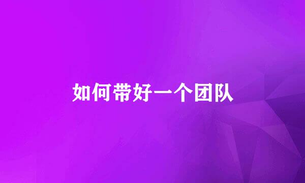 如何带好一个团队