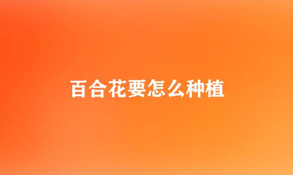 百合花要怎么种植