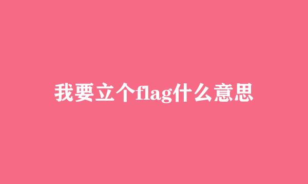 我要立个flag什么意思