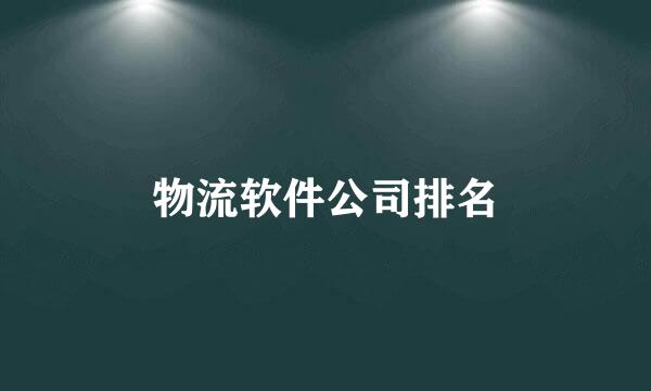 物流软件公司排名