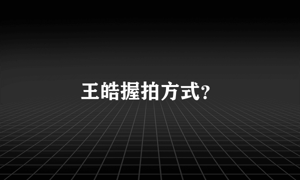 王皓握拍方式？