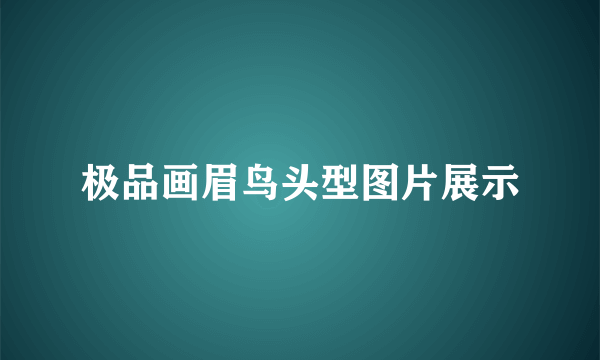 极品画眉鸟头型图片展示