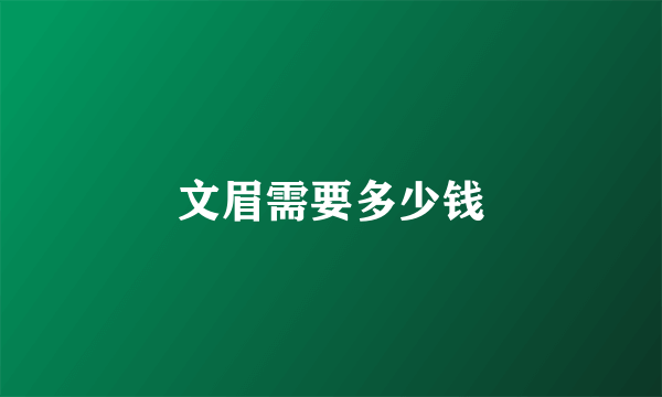 文眉需要多少钱