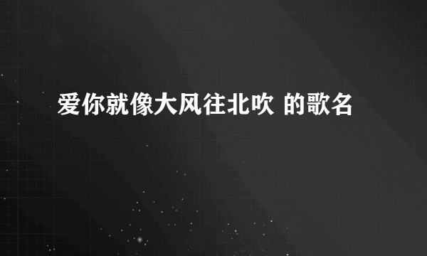 爱你就像大风往北吹 的歌名