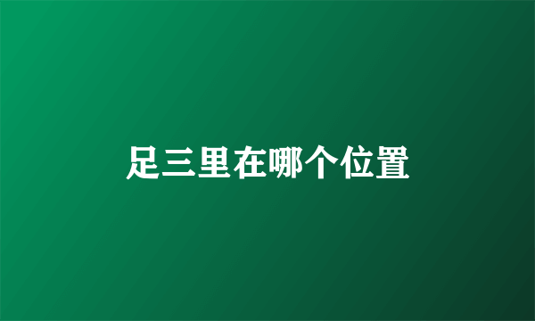 足三里在哪个位置