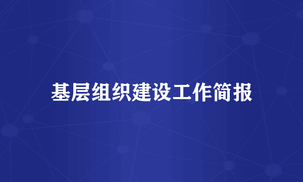 基层组织建设工作简报