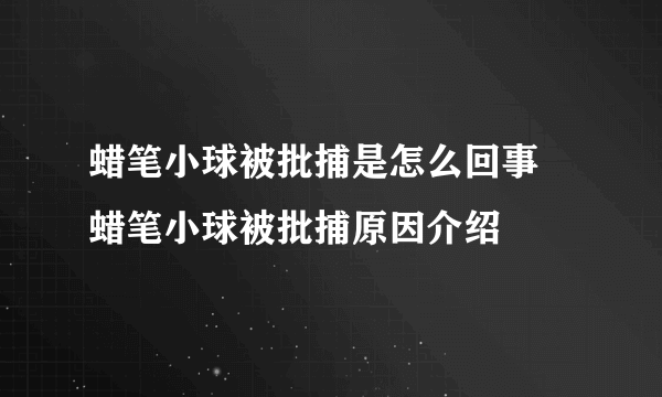 蜡笔小球被批捕是怎么回事 蜡笔小球被批捕原因介绍