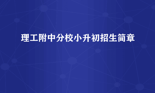 理工附中分校小升初招生简章