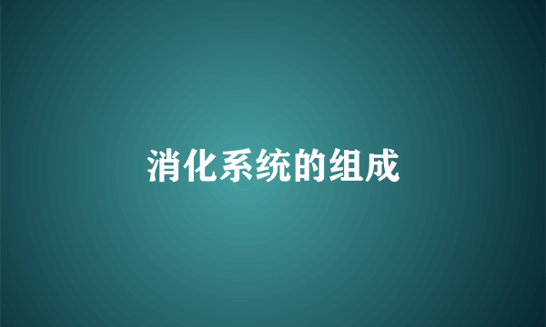 消化系统的组成