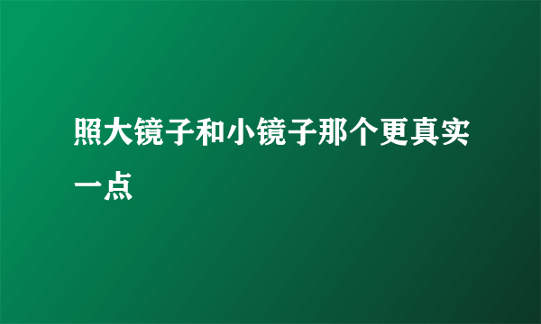 照大镜子和小镜子那个更真实一点