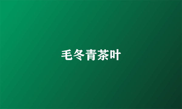 毛冬青茶叶
