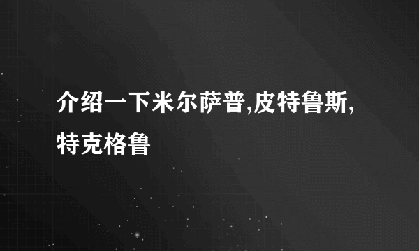 介绍一下米尔萨普,皮特鲁斯,特克格鲁