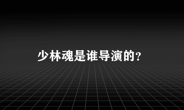 少林魂是谁导演的？