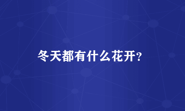 冬天都有什么花开？