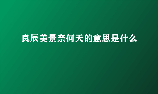 良辰美景奈何天的意思是什么