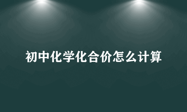 初中化学化合价怎么计算