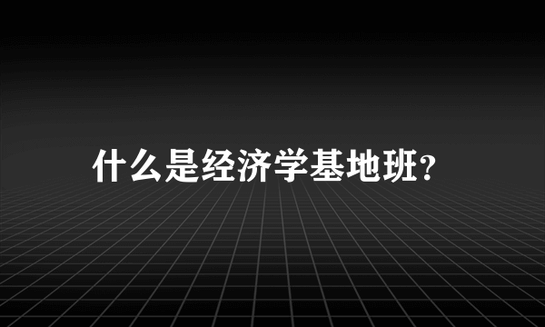 什么是经济学基地班？