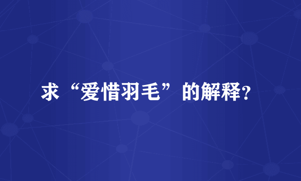 求“爱惜羽毛”的解释？