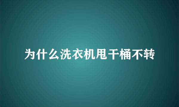为什么洗衣机甩干桶不转