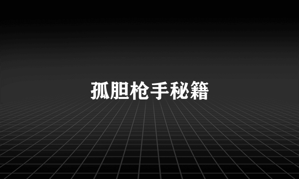 孤胆枪手秘籍