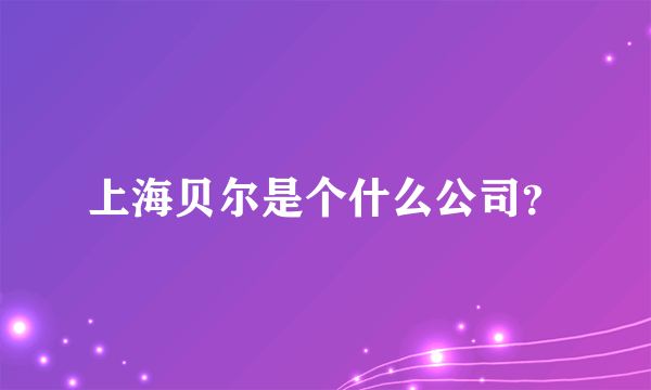 上海贝尔是个什么公司？