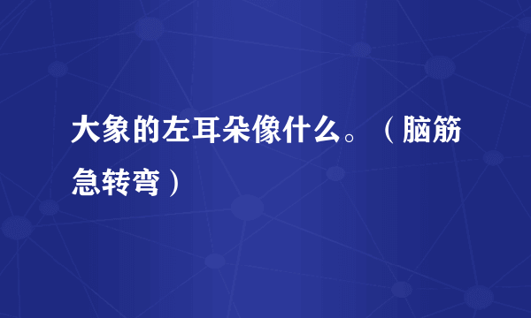 大象的左耳朵像什么。（脑筋急转弯）