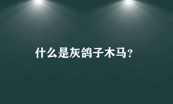 什么是灰鸽子木马？