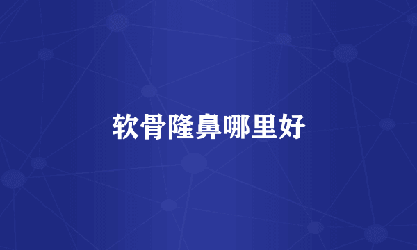 软骨隆鼻哪里好