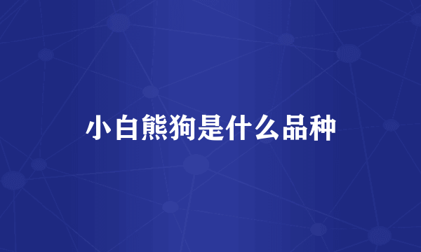 小白熊狗是什么品种