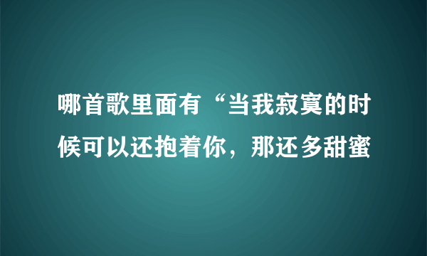 哪首歌里面有“当我寂寞的时候可以还抱着你，那还多甜蜜