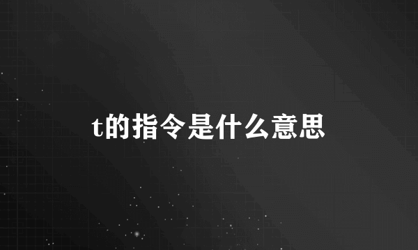 t的指令是什么意思