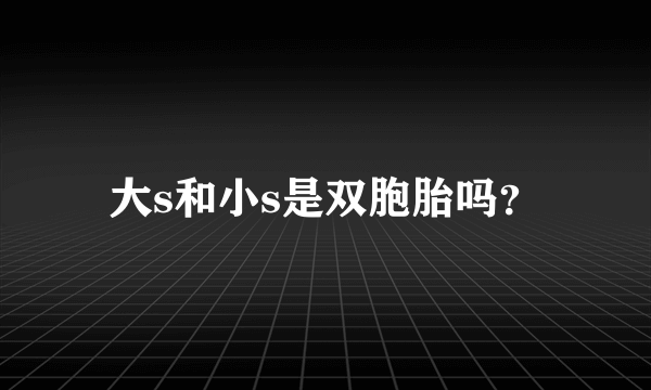 大s和小s是双胞胎吗？