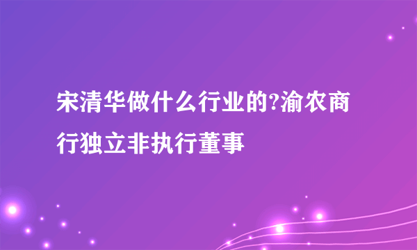 宋清华做什么行业的?渝农商行独立非执行董事
