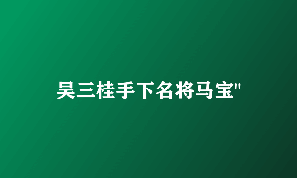 吴三桂手下名将马宝